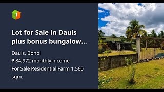 Lot for Sale in Dauis plus bonus bungalow old rest house!