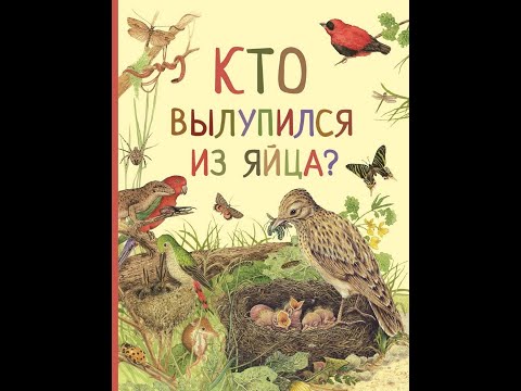 Видеообзр книги Кто вылупился из яйца?