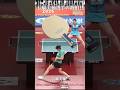 長﨑美柚選手の新用具 #tabletennis #卓球 #pingpong #長﨑美柚 #テナジー05ハード #ディグニスクス05 #張本智和インナーフォーススーパーALC
