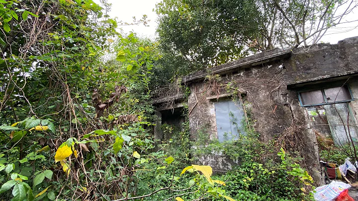 Clean up the Abandoned House covered with Weeds | Clean the old house, Overgrown Plants - DayDayNews