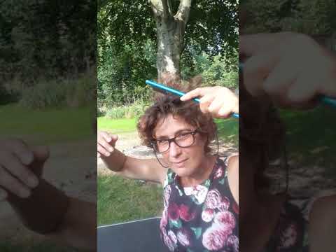 De Auto Dog Brush Petite trekt niet aan de haren en doet geen pijn!
