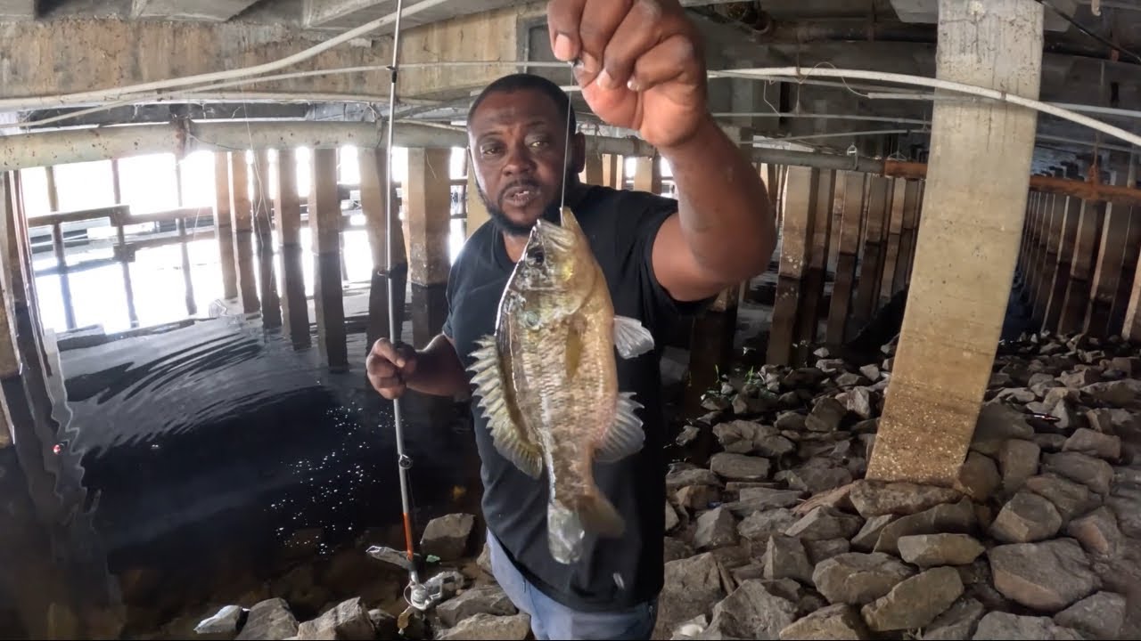 Warmouth Smackdown Catch, Clean, And Cook. Pt.1