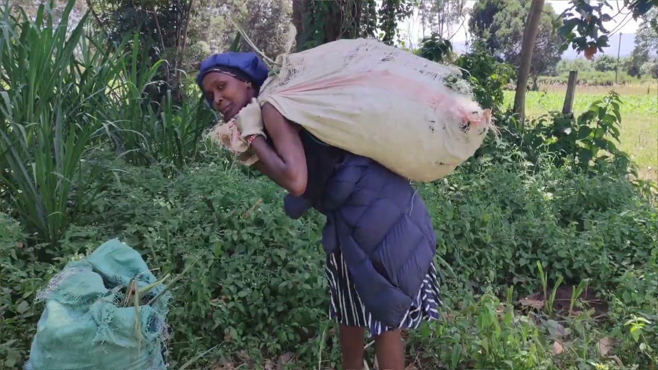 SAVING THE FUTURE// FARM LIFE EXPERIENCE 🌾🐄