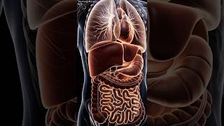 Explore the Dynamic Movements Inside the Human Body #shorts #health