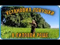 ПЕРЕСТАВЛЯЮ ЛОВУШКИ| Липовая роща| ловля роев