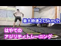練習DAY はやてのアジリティトレーニング