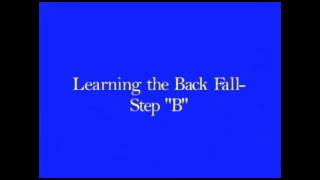 Hapkido - Back Fall