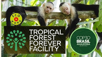 Ecoword TFFF Tropical Forest Forever Facility | Vidtionary Environment | COP30 Belem Brazil Amazon