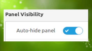How To Auto Hide The Panel / Taskbar - Linux Mint Cinnamon (2025)