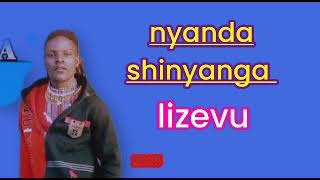 Nyanda Shinyanga Lizevu 2025 Msambazaji Maduka Channel