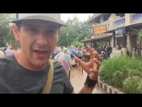 Africa! The LION KING! Disney's Animal Kingdom!