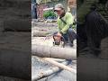 Firewood Woodworking projects tree cutting Technique #shortvideo #chainsaw