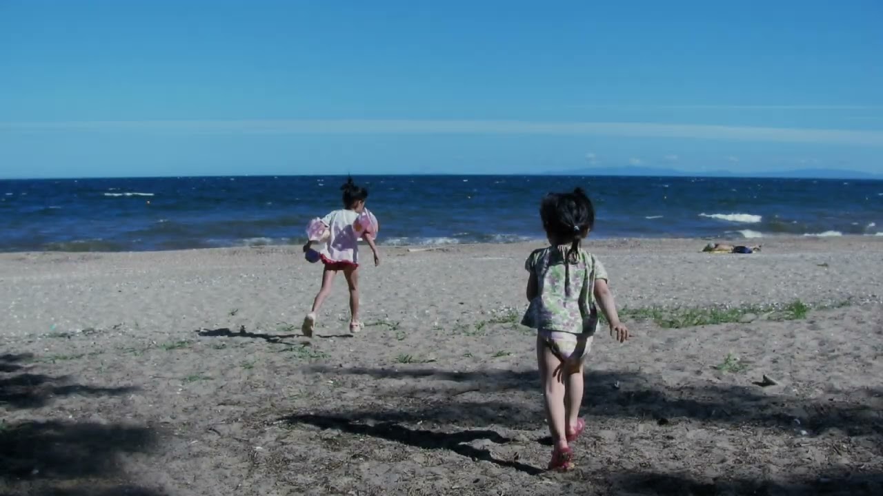 スターダストレビュー  /  Stay My Blue 君が恋しくて