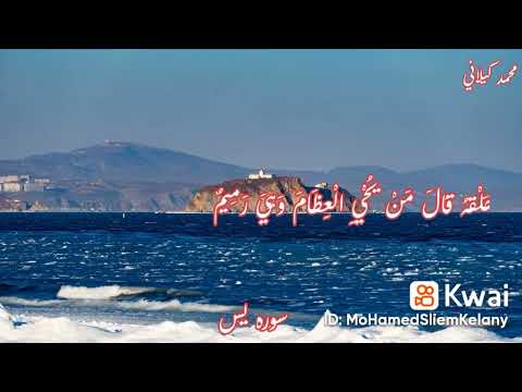 ٧ يناير ٢٠٢٢