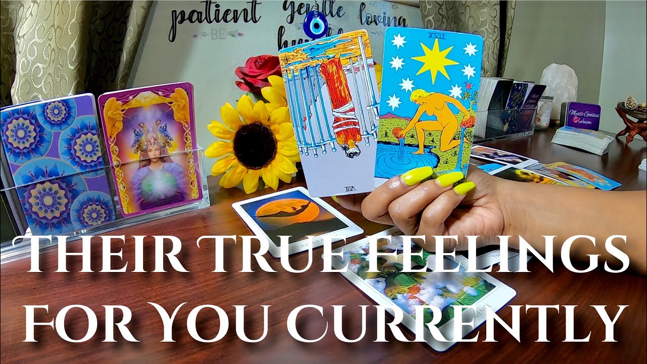 ✨Feeling Like You’ve Healed &No Longer Want Them.. But They Still Want You &Refuse To Give Up✨