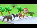 Animal Crossing Fountain With Buffalo Elephant Horse Lion Kangroo Trex,Part 5 | Who win?  | Zoova 3D