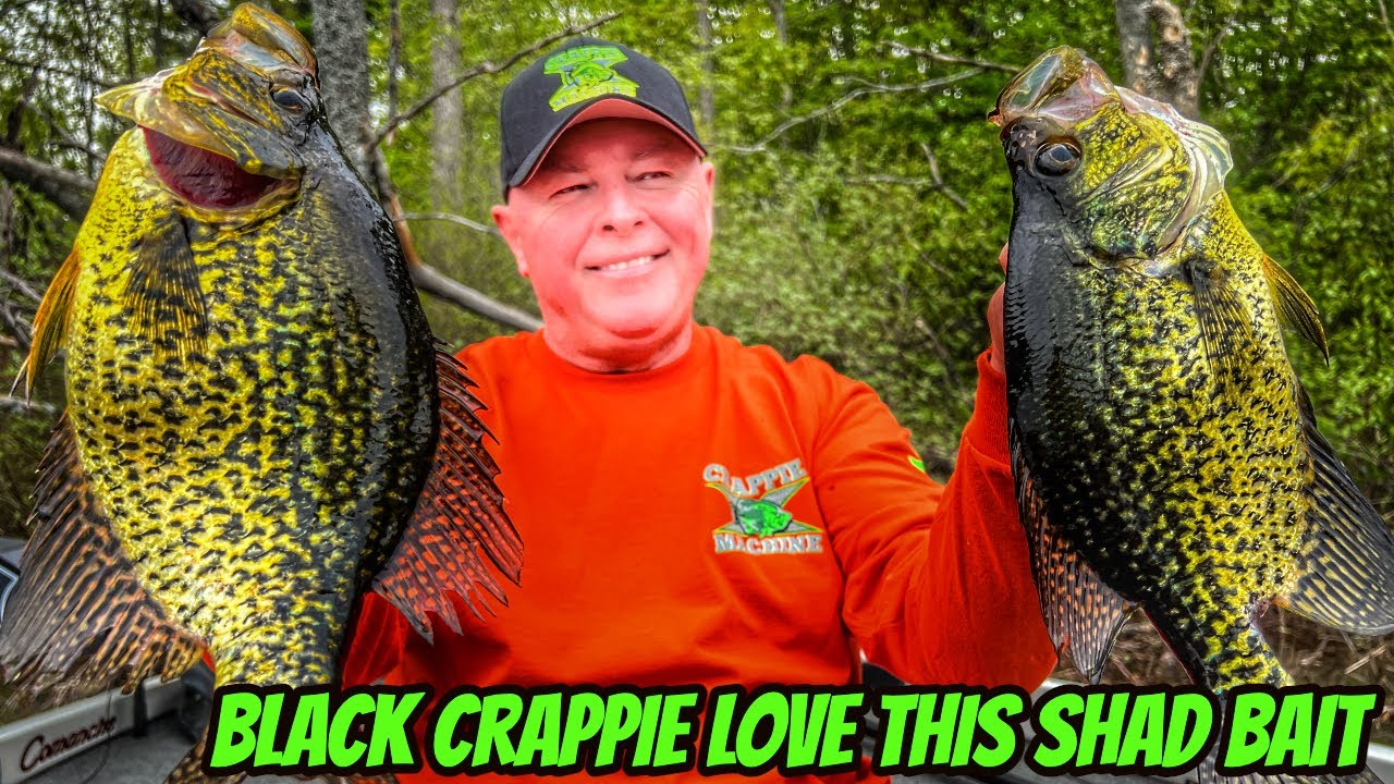 BLACK CRAPPIE LOVE THESE BAITS- New Season Teaser 