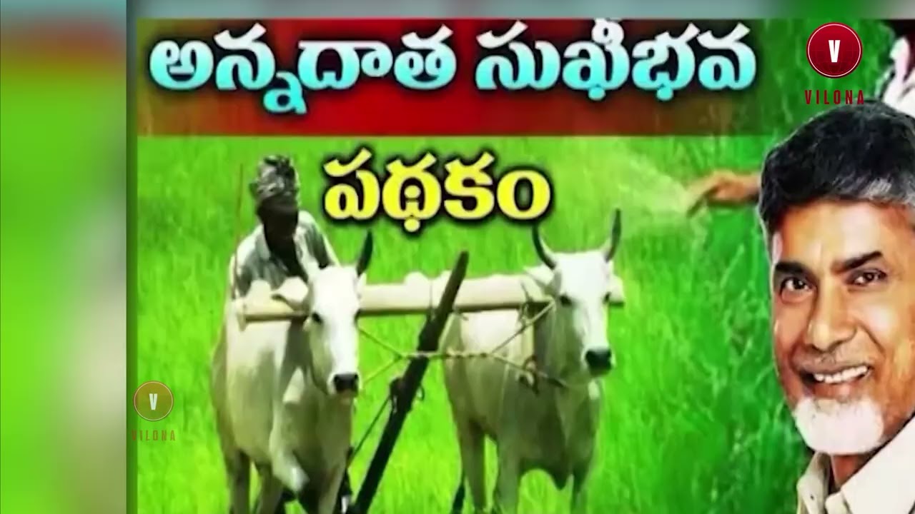 TS Intermediate Exam Schedule Out | AP Road Safety Measures Tightened | Vilonanews