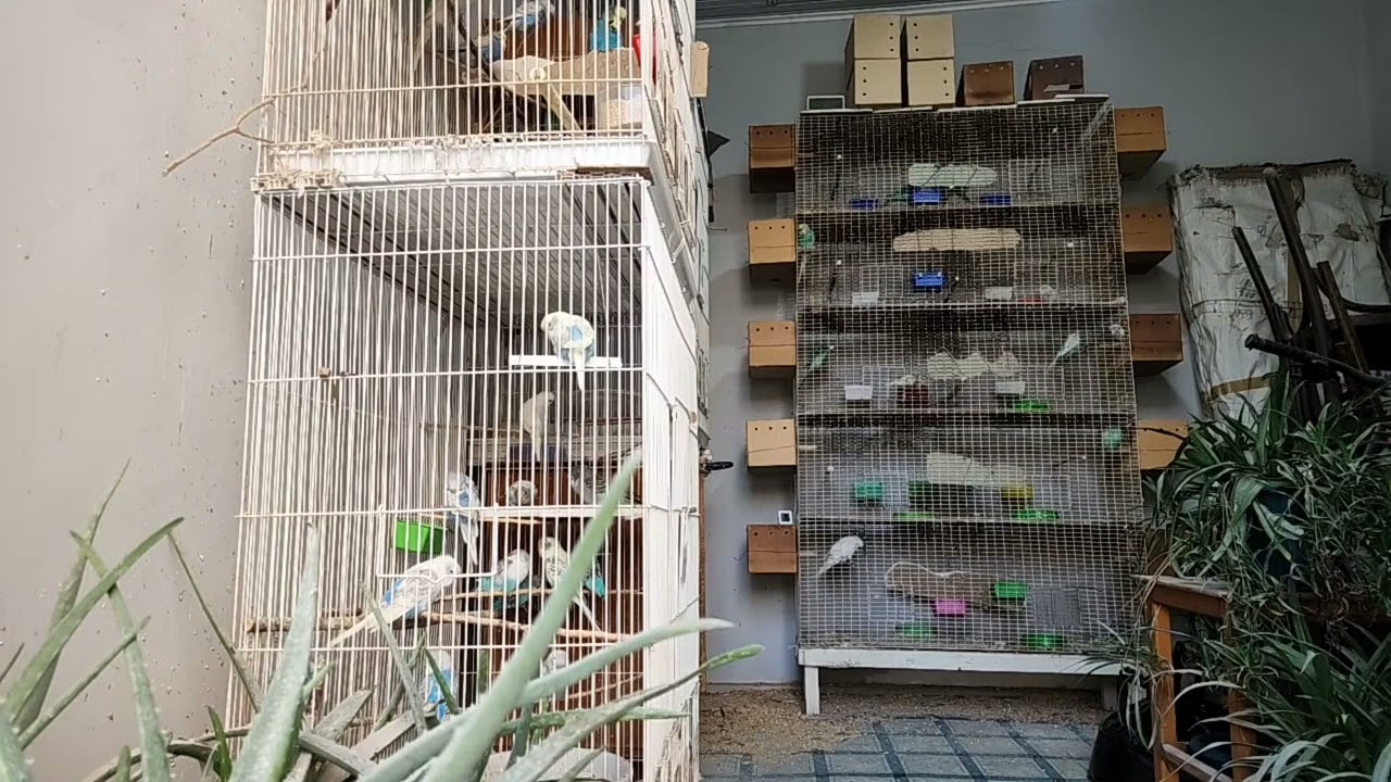 Лучшие моменты трансляции 