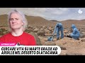 Cercando tracce di vita su Marte grazie ad argille nel deserto di Atacama sulla Terra