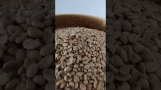 কফি রোস্টিং Coffee roasting تحميص البن