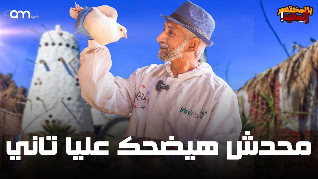 أفضل خلطة طبيعية لتحصين الحمام من أمراض الشتاء - كيفية معرفة عمر الحمام من الريش والفم