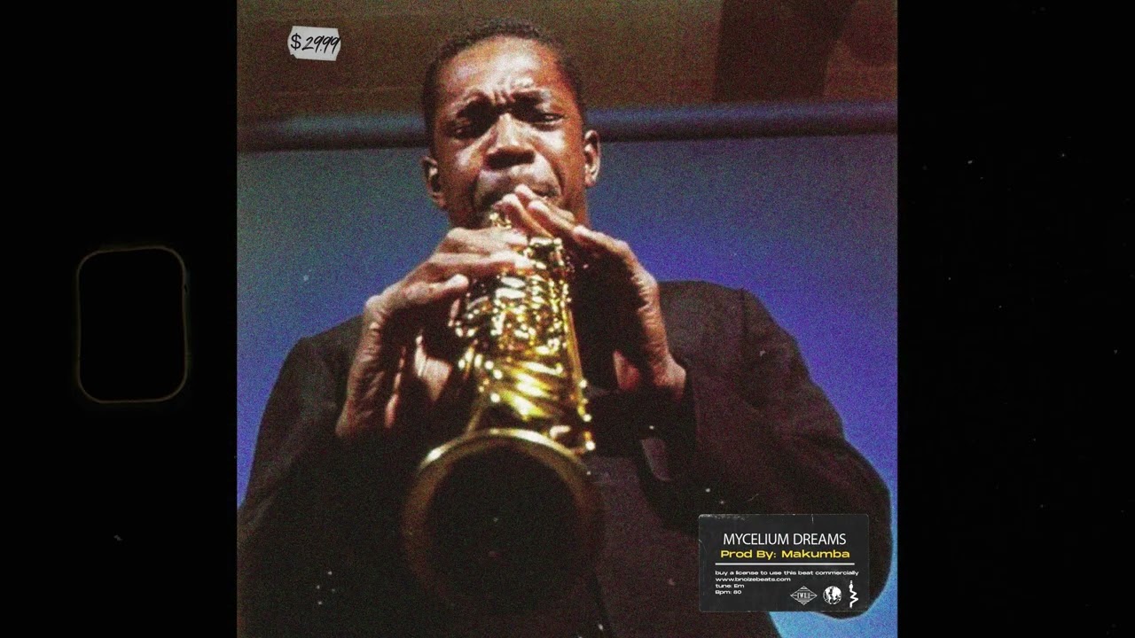 90s Jazz Boom Bap Beat "Mycelium Dreams" | Freestyle Type Beat