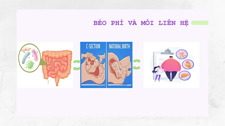 Vai trò của bacteroides thetaiotaomicron trong ruột người là gì