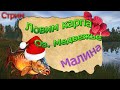 ❄Стрим РР4❄ предновогодняя серия стримов❄ . Проверяем медвежку, Малиновые бойлы, раздача Линя