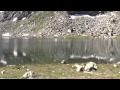 Cou pass and Louchet Lake - Vallon de Rechy - Valais - Switzerland 18.07.2014