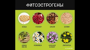 В каких продуктах содержатся фитоэстрогены