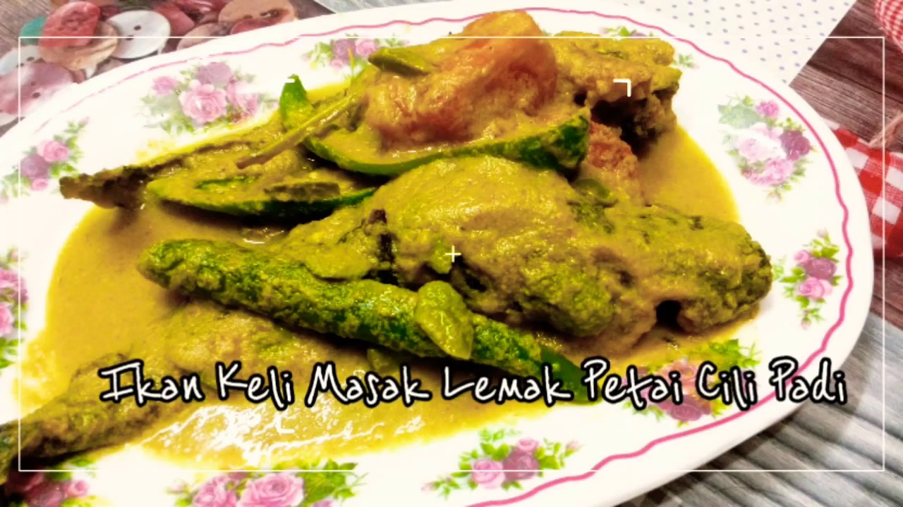 Resepi Ikan Keli Masak Lemak Petai Cili Padi (Pasti Sedap!) - YouTube