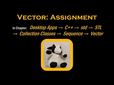C++'s Vector: Assignment
