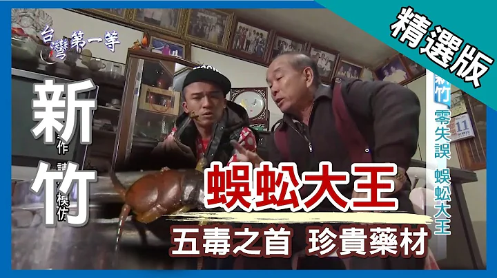 台灣第一等【達人鐵筷抓蜈蚣 最珍貴藥材】新竹 _精選版 - 天天要聞