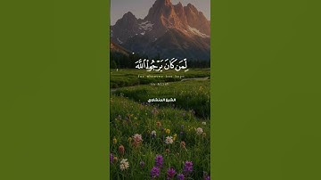 لقد كان لكم في رسول الله أسوة حسنة | تلاوة مؤثرة للشيخ محمد صديق المنشاوي ✨