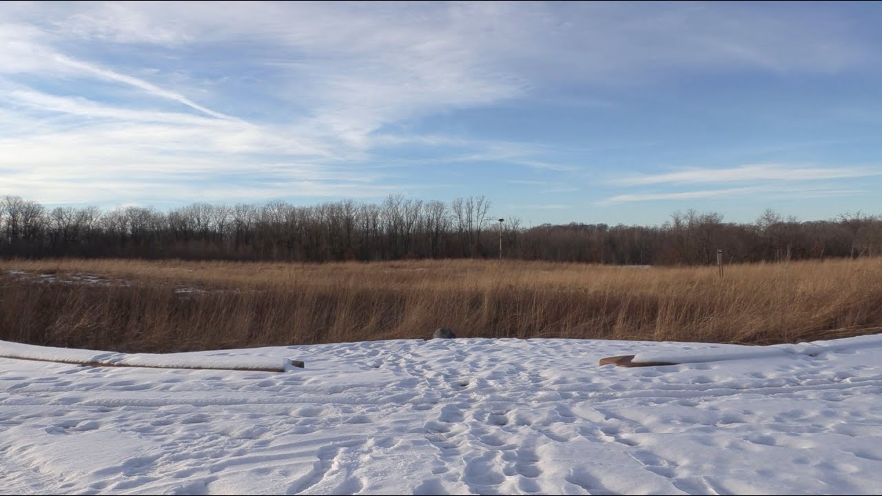 Winter at Red-tail Nature Preserve | Into the Wild