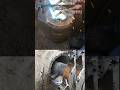 CLOSE VIEW ON STEADY SHAFT TURNING DURING EXCAVATOR'S DIPPER STICK REPAIR IN MANUFACTURING WORKSHOP