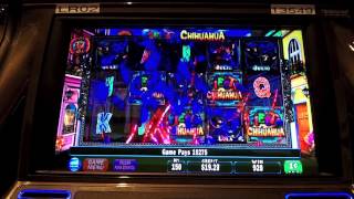 IGT - Fiesta Chihuahua Slot Machine Bonus