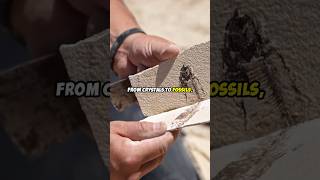 Missouri A Rock Hunter s Paradise Crystals Fossils Hidden Gems