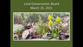 Alachua County Land Conservation Board: March 25, 2021