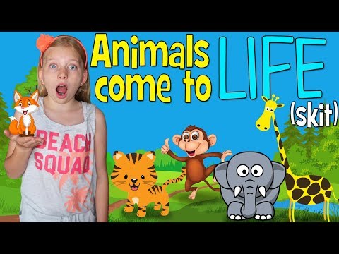 Alyssa's Animal Dolls Come to Life!