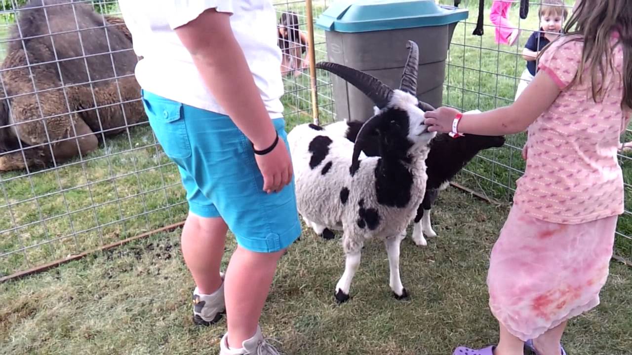 Caleb's first petting zoo trip@ 15 m 3w