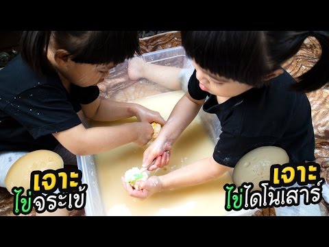 หนูยิ้มหนูแย้ม | ขุดเจาะ ไข่ไดโนเสาร์ ไข่จระเข้