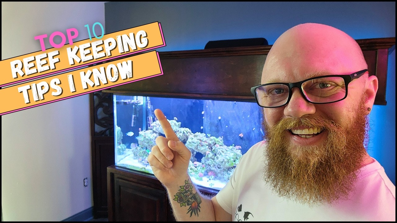 Reef Keeping Saltwater Aquarium Beginners START HERE! My TOP 10 tips for reef ...