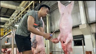 Dumaguete City Aa Slaughter House Evisceration 
