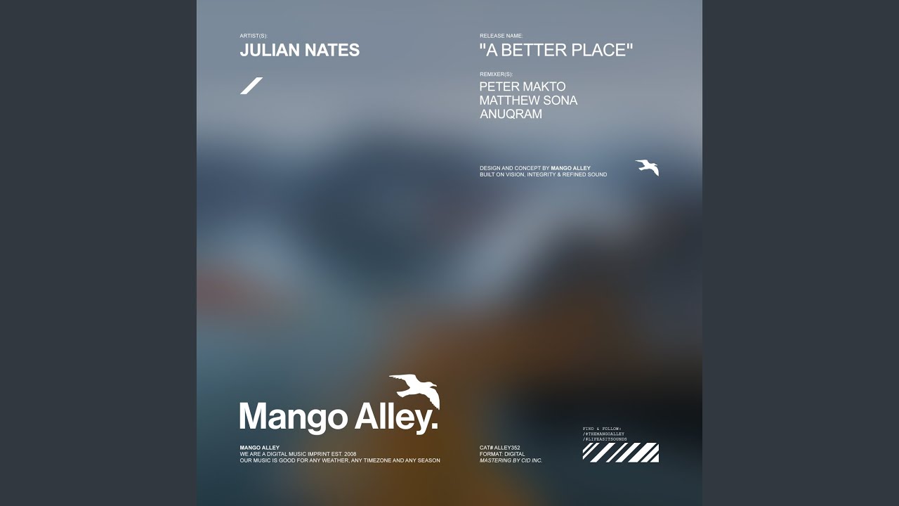 A Better Place (Peter Makto & Matthew Sona Remix)