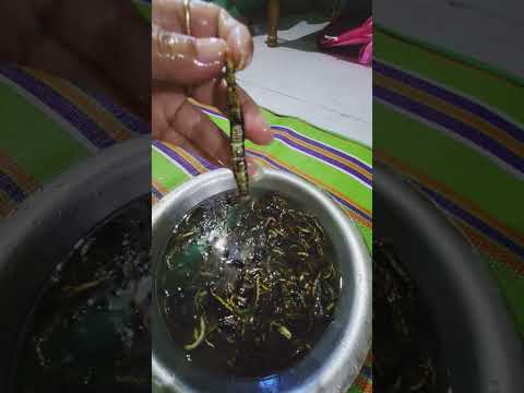 wild worms 🪱 #food #eating