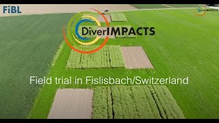 Information DiverIMPACTS Field Experiment Experiment 8: Arable cropping systems, Switzerland (FiBL) Update