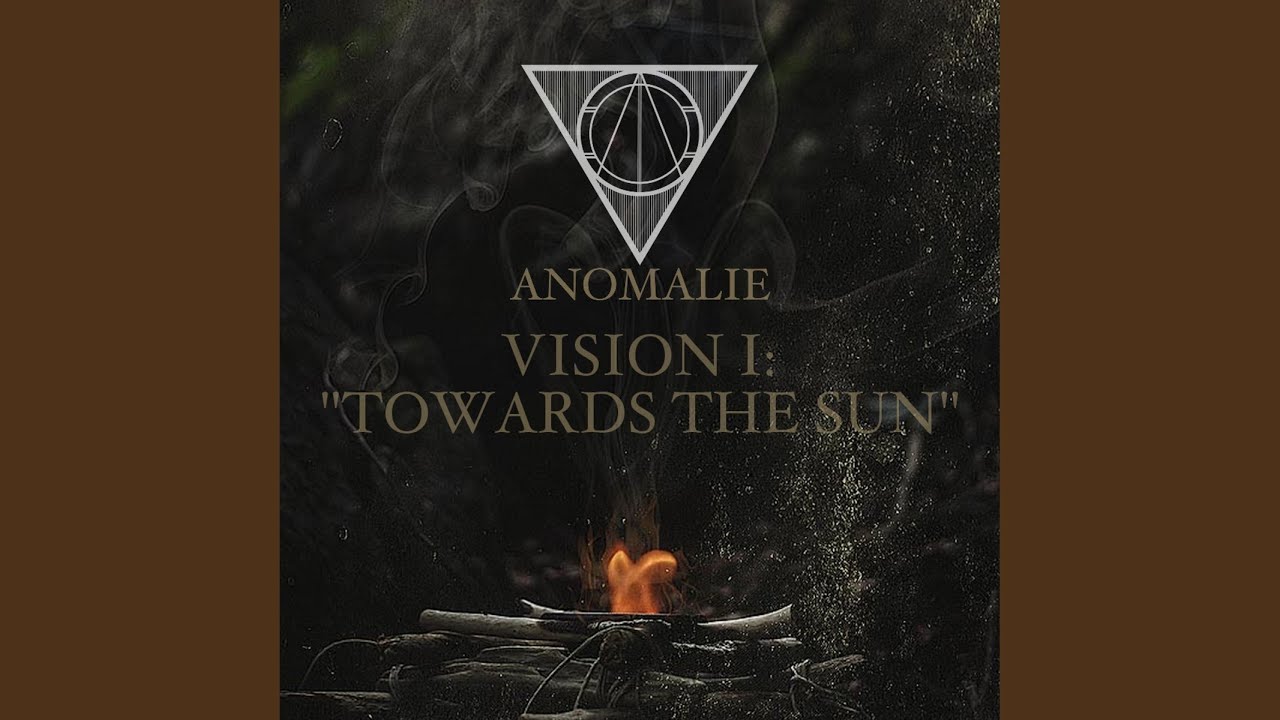 Vision I: Towards the Sun
