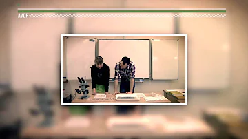 Co je mořská biologie?